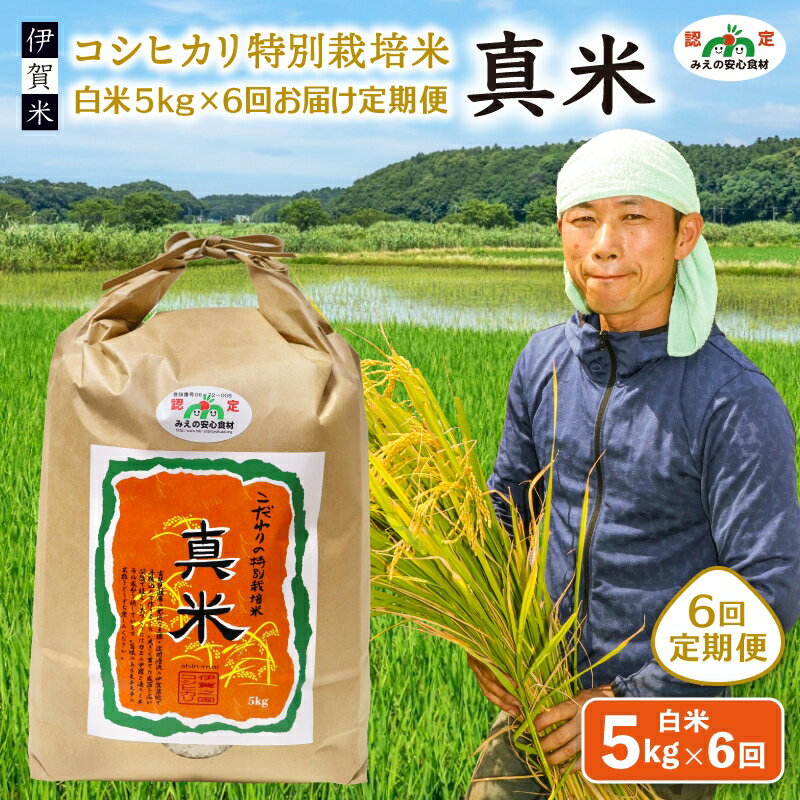 【ふるさと納税】 伊賀米コシヒカリ特別栽培米「真米」白米5kg ×6回お届け定期便