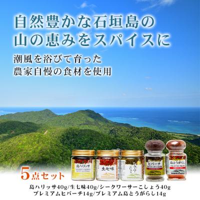 ふるさと納税 石垣市 UY-1 石垣島海のもの山のものスパイス&オリジナル詰め合わせセットA |  | 01