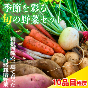 【予約受付】季節彩る旬の野菜セット 野菜 やさい サラダ 季節 詰合せ 新鮮 おまかせ 詰め合わせ 10品種前後 収穫 国産 産地直送 静岡県 三島市