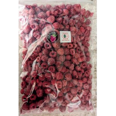 ふるさと納税 帯広市 有機JAS認証  訳あり 冷凍ラズベリー 1kg (500g×2袋)【十勝産 希少品種】