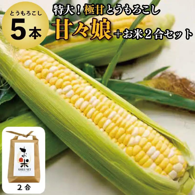 とうもろこし 甘々娘 5本 米 2合 セット 先行予約 とうもろこし 米