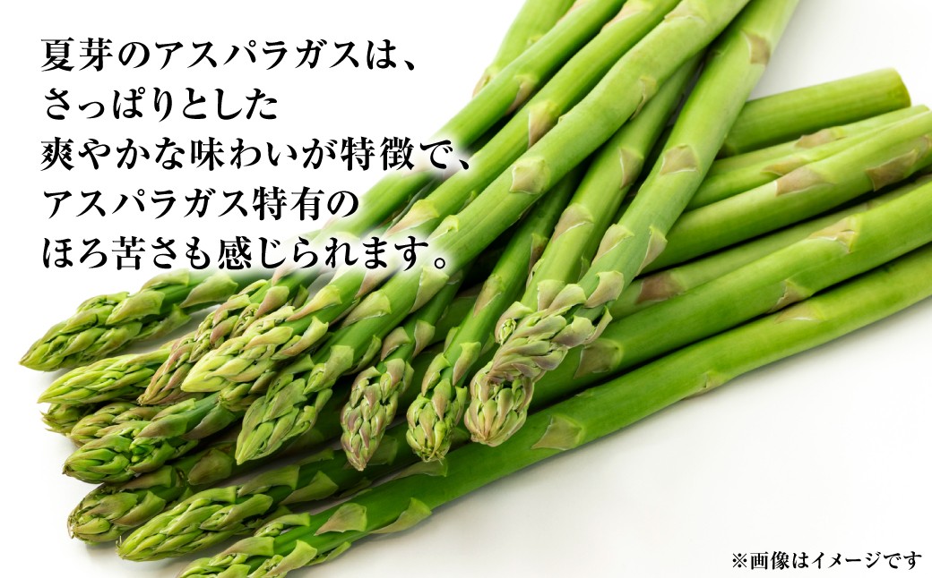 さっぱりとした爽やかな味わいが特徴で、アスパラガス特有のほろ苦さも感じられます