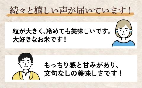 【2025年10月発送】【令和6年産】さがびより 5kg 吉野ヶ里町/増田米穀 お米[FBM001-10] 2025年10月発送