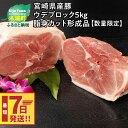 【ふるさと納税】【レビューキャンペーン対象】宮崎県産豚ウデブロック5kg！脂身カット形成品【数量限定】 - 国産豚肉 豚ウデ肉 5キロ ブロック肉 かたまり肉 スピード配送便 送料無料【宮崎県木城町】