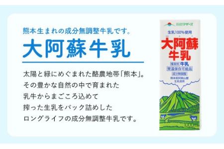 【12ヶ月 定期便】らくのうマザーズ 大阿蘇 牛乳 3.6％ 1L×6本