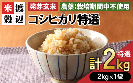 【令和7年産】【発芽玄米】コシヒカリ「特選」 特別栽培米使用 2kg  米 玄米 [A-2999]