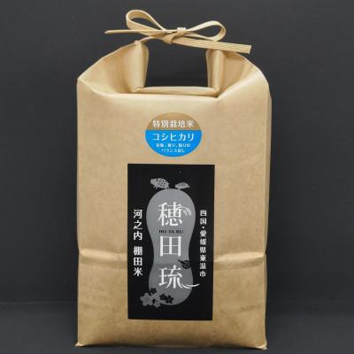 ふるさと納税 東温市 〈坂本自然農場 穂田琉〉特別栽培米:コシヒカリ　精米2kg