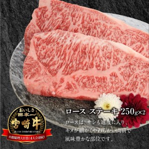 宮崎牛 ロース ステーキ 250g×2 計500g　N0147‐B426