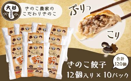 香り立つ!!「きのこ餃子」120個_16-8701_(都城市) ギョウザ 12個入り 10パック 無農薬栽培 椎茸 きくらげ 都城産ブランド豚 きなこ豚 きゃべつ ニラ ニンニク使用 ヘルシー餃子 大