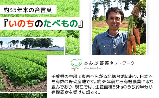 春にんじん 訳あり 有機JAS認証 特別栽培にんじん 20kg　SMF003