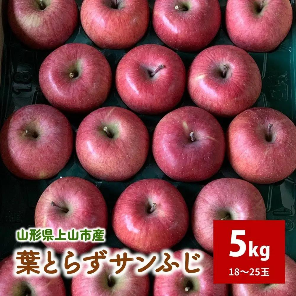 有機肥料栽培　葉とらずサンふじ　上山市産　５ｋｇ　１８～２５玉　秀品　0079-2625