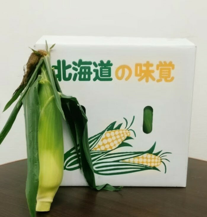 【ふるさと納税】北海道由仁町産　ピュアホワイトSP