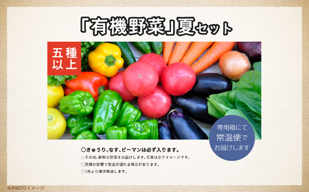 《2025年7月より順次発送》季節の有機野菜「夏セット」 オーガニック 有機栽培 有機 有機JAS 有機野菜 野菜セット 野菜 サラダ ベジタブル おすすめ お中元 お歳暮 ギフト 二本松市 ふくしま