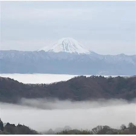 【2026年発送】10月下旬より発送「牧丘天空の丘マスカットノワール」約1kg(2～3房)【配送不可地域：離島】【1579849】