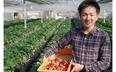 [先行予約] [4ヶ月連続定期便] 澳原いちご農園のとちおとめ定期便 (毎月お届け 計4回)｜いちご イチゴ 苺 とちおとめ フルーツ 果物 産地直送 栃木県産 期間限定 数量限定 [0484]