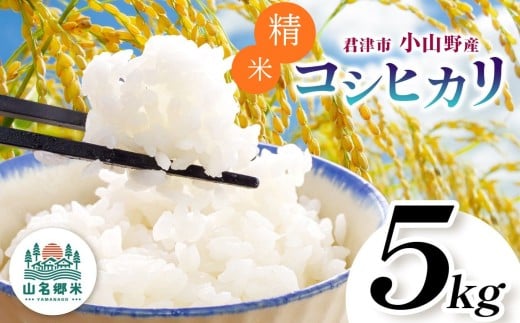 精米 令和7年産 君津市小山野産 コシヒカリ 5kg |  2週間以内に発送 メディアで紹介 ！ あかかげ農園 山名郷米 メディアで紹介 ！ 千葉稲作 こしひかり 千葉県産 米 コメ こめ お米 千葉県 君津市 きみつ