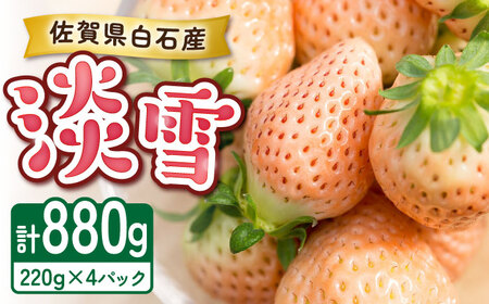 淡いピンクの白いちご「淡雪」220g×4パック / 佐賀県 / 岸川農園 [41ASAG013]