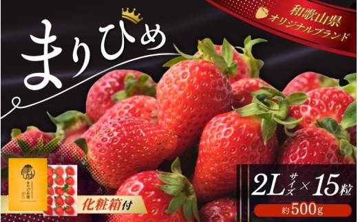 
                  ＼先行予約／ 【化粧箱付き】いちご まりひめ 2Lサイズ 約500g（15粒） 2027年1月頃から順次発送 / いちご 和歌山 果物 フルーツ 野菜 苺 冷蔵 冬 ギフト 贈答  1月 2月 【tcs001】
                