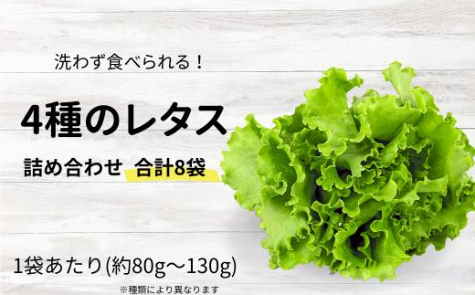 【農薬不使用】洗わず食べられる！レタス4種 合計8袋 ｜ フリルレタス グリーンジャケット グリーンリーフ サラダ菜 グリーンオークレタス サラダ 緑黄色野菜 送料無料 東松山 埼玉県 洗わず食べる 野菜 サラダ 新鮮な 便利 ナチュラル グリーン サラダ野菜 ダイエット