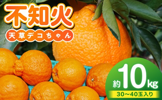 S153-006_天草産 不知火 約5kg 2箱