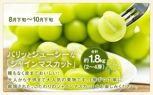 【期間限定発送】【旬の桃とシャインマスカットの2回定期便】 桃約2kg（5～6玉）、シャインマスカット約1.8kg（2～4房） [株式会社えべし 山梨県 中央市 21470869] ぶどう 桃 フルーツ 果物 くだもの ブドウ シャイン マスカット もも 葡萄 期間限定 季節限定 【2027年6月下旬-10月下旬発送予定】