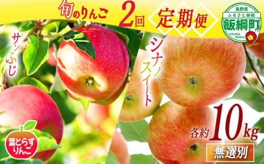 旬のりんご 【 定期便 】 葉とらず 無選別 10kg × 2回 エバラ農園 減農薬栽培 2026年10月中旬頃から2026年11月下旬頃まで順次発送予定 令和8年度収穫分 長野県 飯綱町 [1951]
