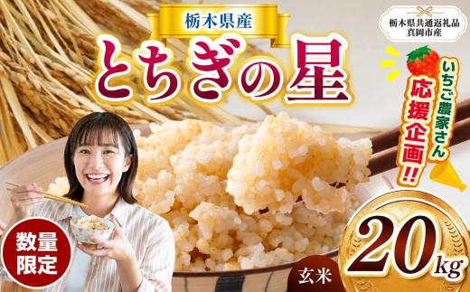 訳あり 数量 限定 定期便 令和8年度産 とちぎの星 約 20kg | とちぎの星 ミルキークイーン お米 kome okome ご飯 米 玄米 白米 ごはん おいしい  ふるさと納税 栃木県 那珂川町 送料無料【栃木県共通返礼品 】