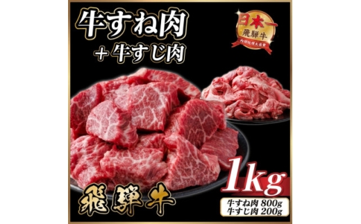飛騨牛 牛すね肉・牛すじ肉煮込み料理セット 計約1kg＜冷蔵便＞訳あり A4～A5等級 黒毛和牛【1758526】