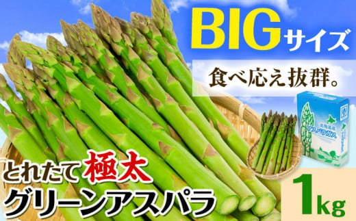 【1-6-69】【令和7年先行受付】市川農場とれたて極太グリーンアスパラ1kg