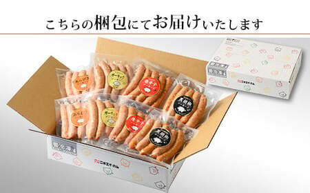 【定期便3ヶ月】ウインナー充実セット 4種類 ｜ BBQ バーベキュー アウトドア キャンプ 肉 豚肉 惣菜 詰め合わせ お弁当 朝食 食べ比べ 真空パック ソーセージ ウィンナー