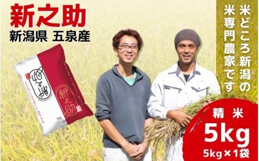 令和7年産米 「わくわく農場」の五泉産新之助 精米 5kg （5kg×1袋）新潟県 五泉市 わくわく農場