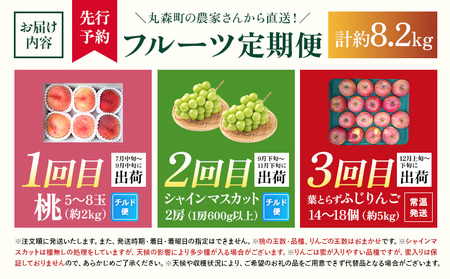【先行予約】《採れたてを農家直送》 宮城県丸森町産 フルーツ定期便 コース1（桃・シャインマスカット・りんご）【48007】