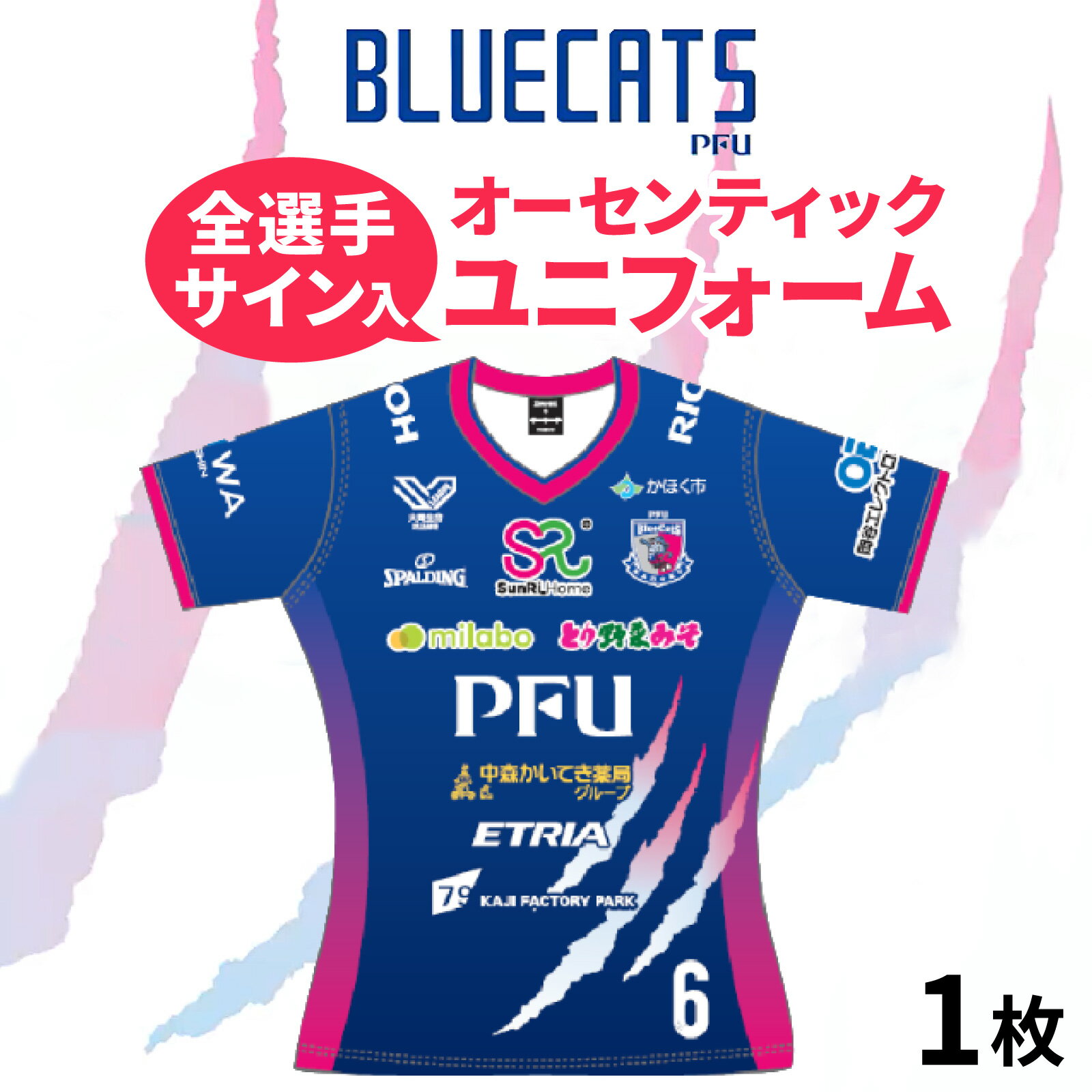【ふるさと納税】【PFUブルーキャッツ石川かほく】オーセンティックユニフォーム 1枚（全選手サイン入り） |ユニフォーム BLUECATS バレーボール 直筆サイン入り ファングッズ スポーツ レアグッズ