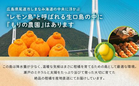 高級柑橘 贈答用ハウスせとか化粧箱8玉～12玉 2月中旬～発送予定 完熟 産地直送 瀬戸田 もりの農園 【瀬戸内産せとか せとか 柑橘 みかん ハウスせとか せとかせとか】