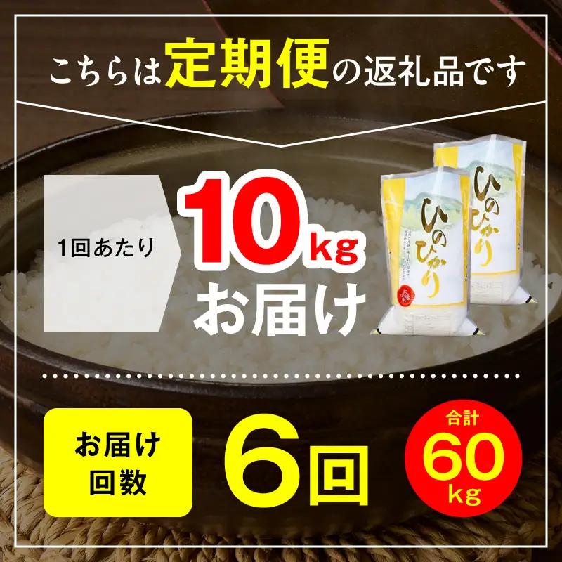 延岡産ヒノヒカリ（白米）10kg 6ヶ月定期便 N0218-YH069