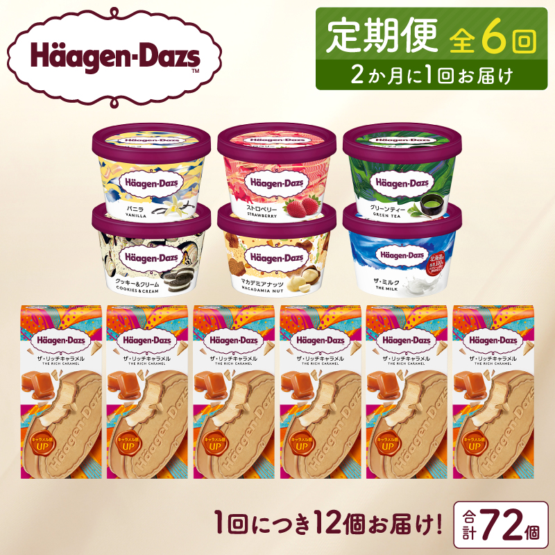 ＜全6回定期便・隔月＞ハーゲンダッツ『ミニカップ＆クリスピーサンドセット(合計72個)』アイスクリーム アイス スイーツ デザート_H0016-141