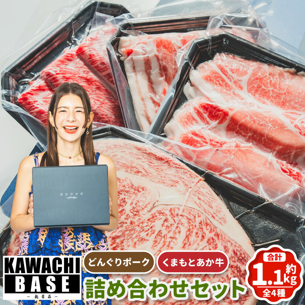 【ふるさと納税】スザンヌ厳選！ 「くまもとあか牛」・「阿蘇どんぐりポーク」 詰め合わせセット 4種 各1個 あか牛（サーロインステーキ・すきやき用薄切り） どんぐりポーク（ロース・バラ） 牛肉 赤身 豚肉 お肉 冷凍 熊本県産 国産 九州 熊本県 送料無料