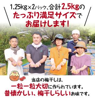 完熟南高梅 白梅干し 2.5kg (1.25kg×2パック) 塩分約20％ 完全無添加 サイズ混合 ご家庭用【2025年9月より発送予定】【njb647】
