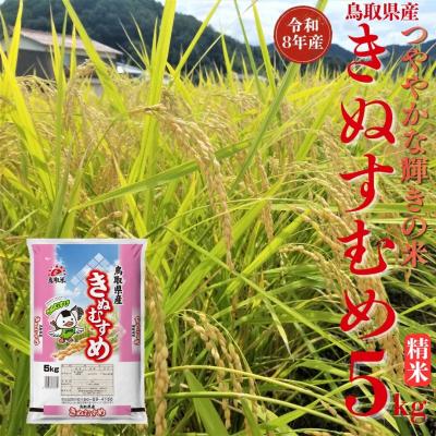 ふるさと納税 湯梨浜町 鳥取県産きぬむすめ◇精米5kg◇令和8年産(358M.)