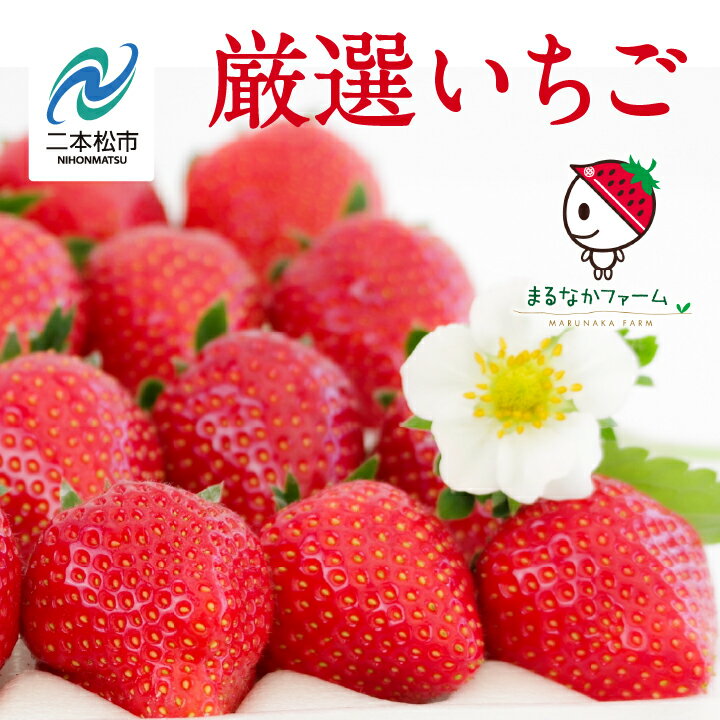 【ふるさと納税】《2026年3月以降順次発送》大粒！完熟いちご2パック入り1箱 いちご ストロベリー 苺 イチゴ 大粒 厳選 フルーツ 果物 おすすめ お中元 お歳暮 ギフト 二本松市 ふくしま 福島県 送料無料 【まるなかファーム】