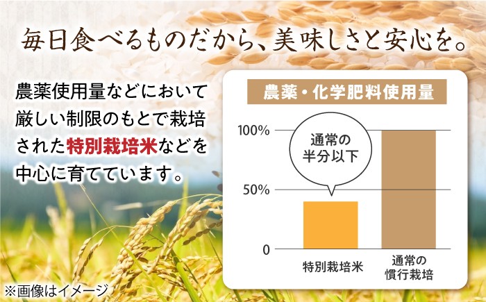 滋賀県産【特別栽培米】羽二重糯（はぶたえもち）5kg米 お米 もち米 餅米 5kg 糯米 もちごめ 人気 おすすめ 滋賀 5キロ
