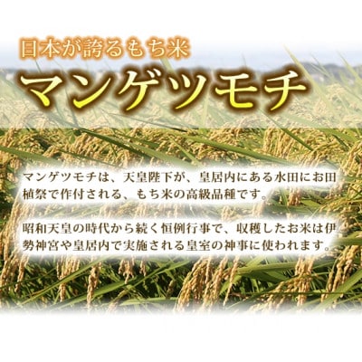 令和5年　城里町産マンゲツモチ(精米)　2kg×1袋【配送不可地域：離島】