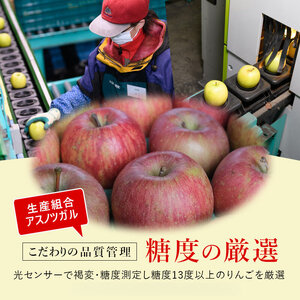 りんごサンふじ蜜入り葉とらず 青森県産 りんご【約5kg】【11月発送】