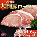 【ふるさと納税】★レビューキャンペーン対象返礼品★＜宮崎県産 豚大判ロース 合計1.6kg＞※入金確認後、翌月末迄に順次出荷　豚肉 豚ロース カツ丼 カツカレー ステーキ トンテキ とんかつ 厚切り 真空パック 筋切り済 個包装 おかず 国産 送料無料 宮崎県 国富町【冷凍】