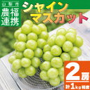 【ふるさと納税】【2025年先行予約】農福連携 シャインマスカット2房(2房合計1kg程度)山梨市【ふるさと納税】【配送不可地域：離島】【1271031】