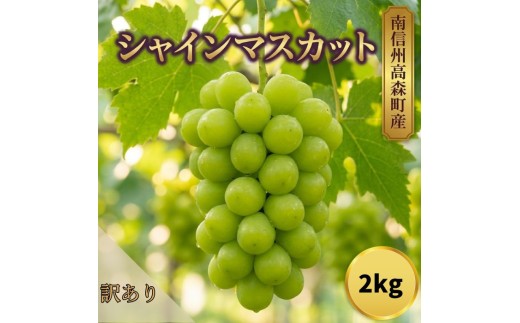 
                  訳ありシャインマスカット2kg
                