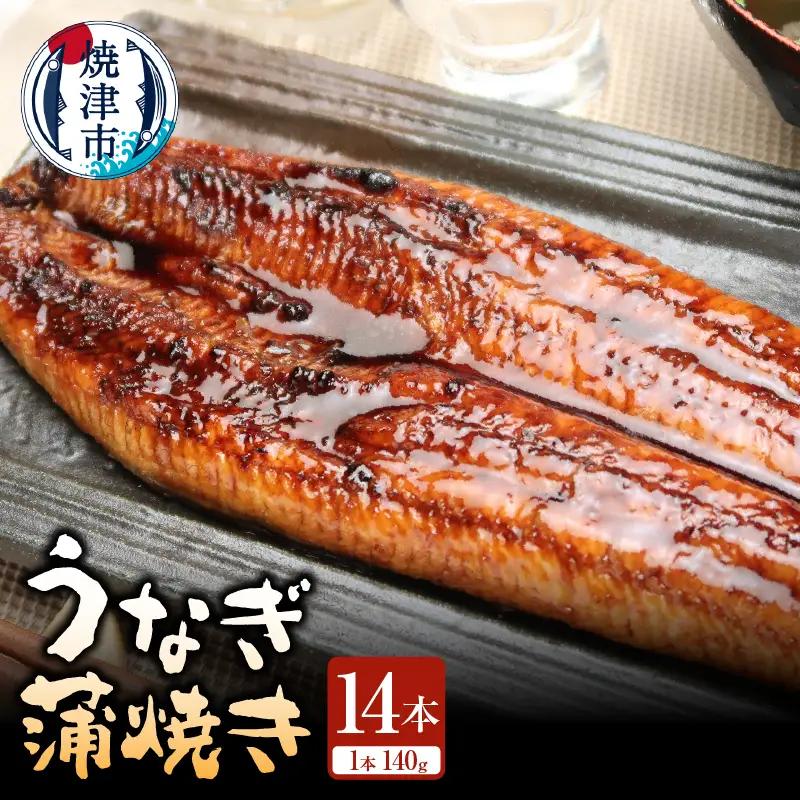 静岡県産 うなぎ蒲焼き 14本 (a90-010)