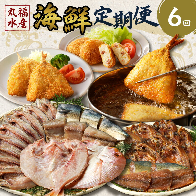 【ふるさと納税】丸福水産・海鮮定期便【6回】