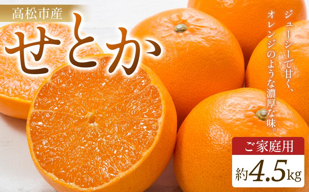 ご家庭用　せとか　約4.5kg【2027年2月中旬～2027年3月下旬配送】 372013_T006-055J