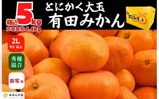 
            みかん 大玉 どっこいしょ 箱込 5kg ( 内容量約 4.4kg ) 2Lサイズ以上 秀品 優品 混合 有田みかん 和歌山県産 産地直送 家庭用［2025年11月中旬より2026年1月中旬頃順次出荷予定］［みかんの会］
          